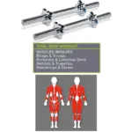 Set of 12 - 1 ft Dumbbells Rod and 30 KG Chrome Plates Complete Home Gym Set - 8511